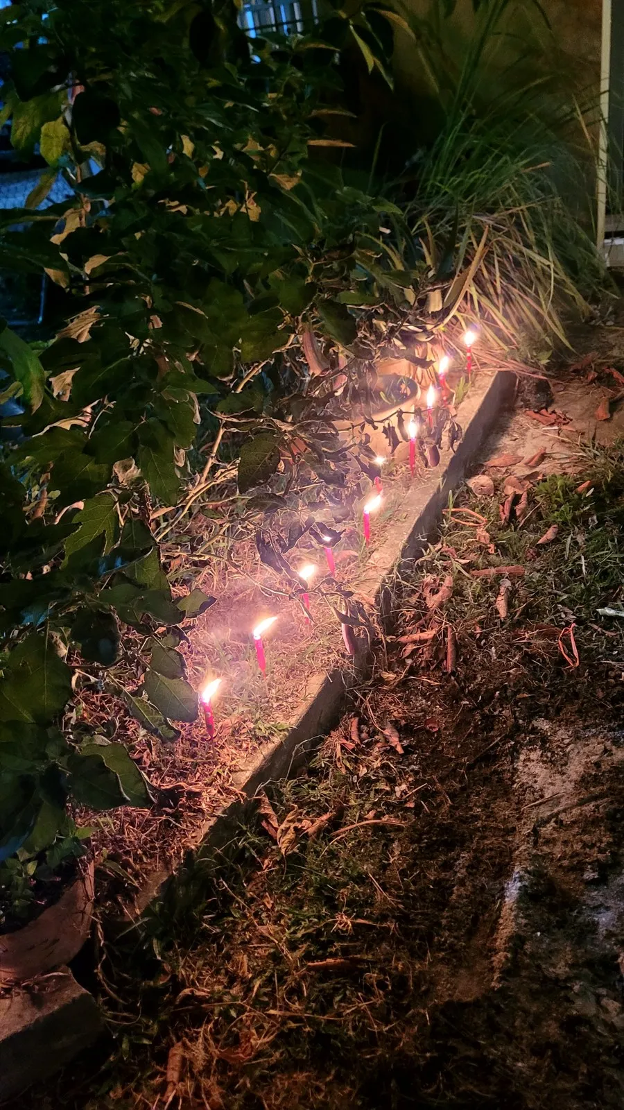 Candles lit along the grass at night